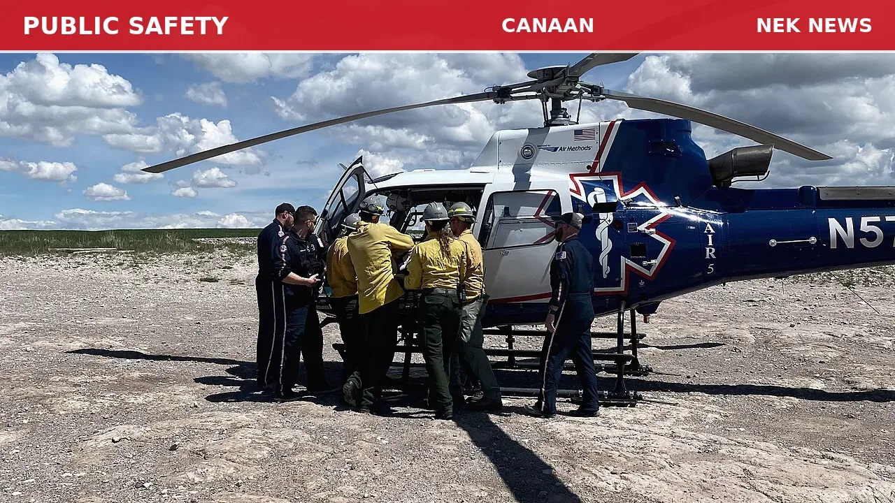 Search Underway for Suicidal Person in Canaan Woods