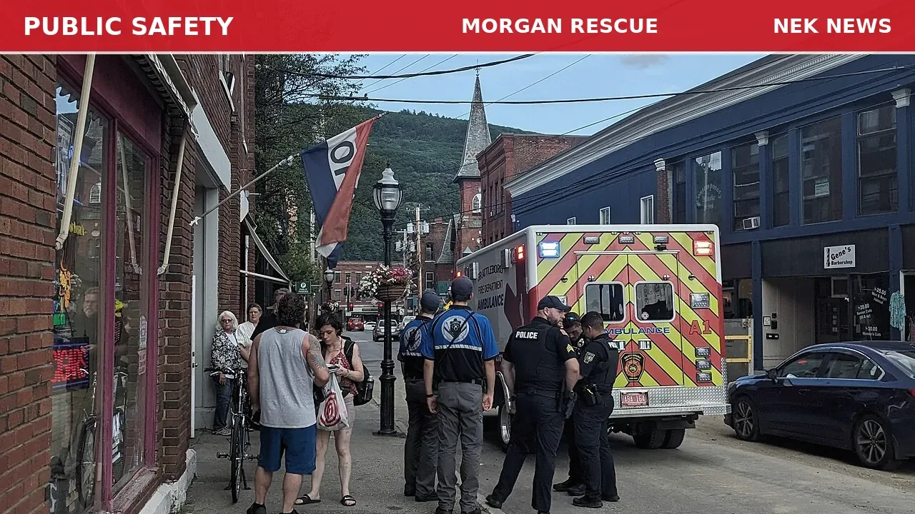 Medical Call for 82-Year-Old Male on Head of the Pond Road in Brighton