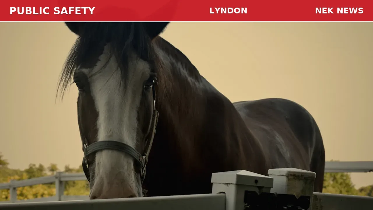 Medical Emergency on Ridge Road in Kirby after Horse Fall