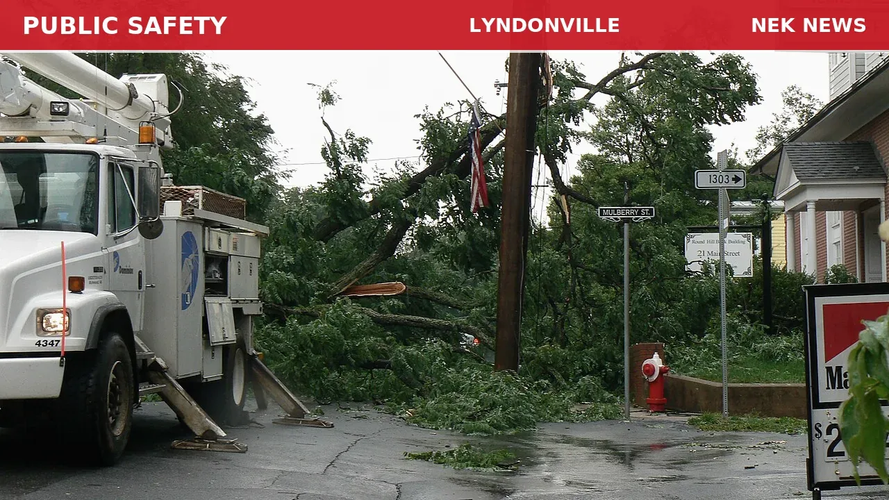 Tree Down with Power Lines on South Wheelock Road in Lyndon