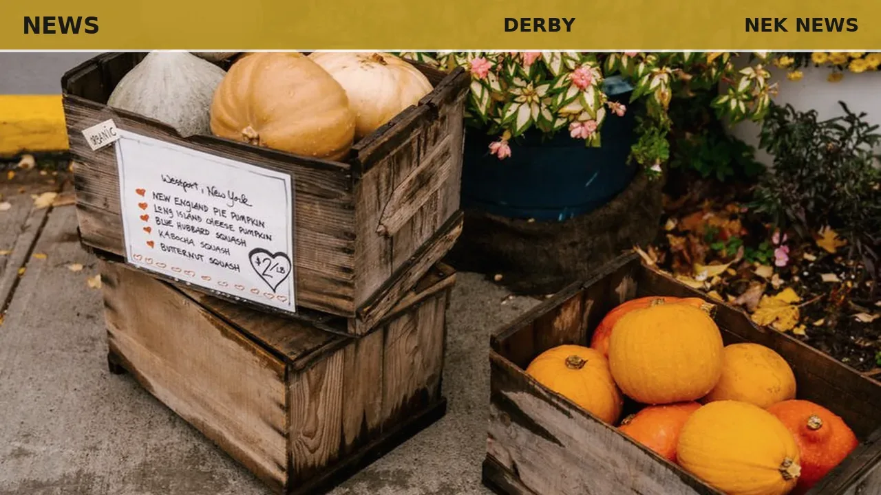 Derby Community Giving Garden in full bloom