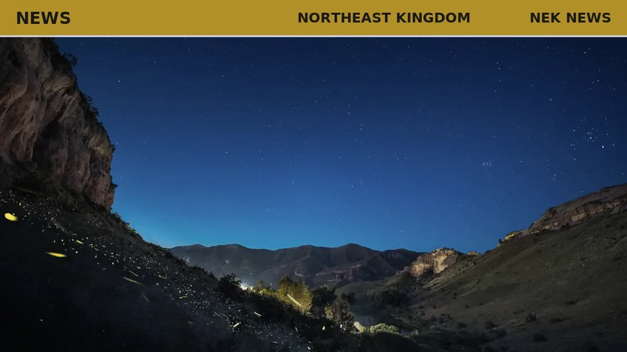 Firefly diversity shines across the Northeast Kingdom