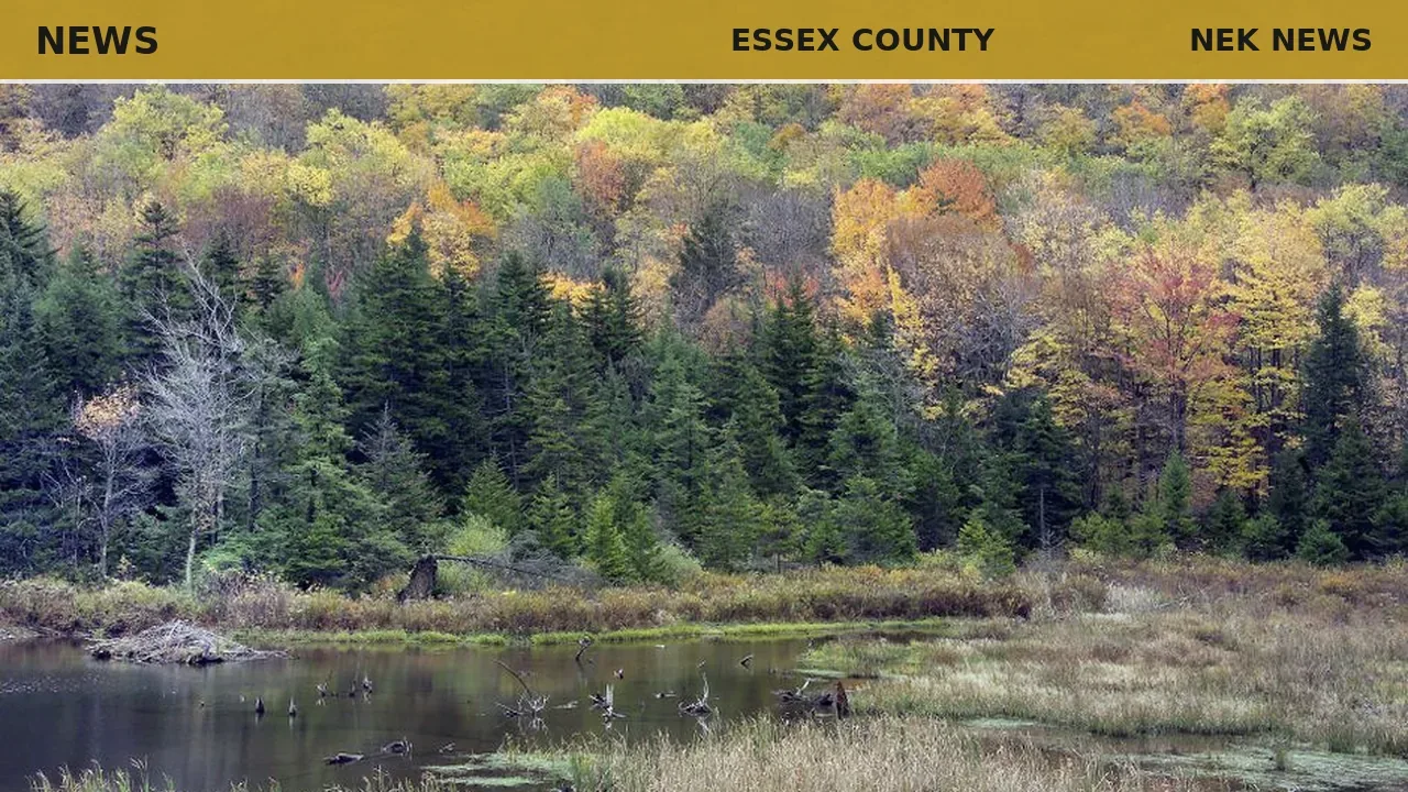 Essex County Forester Matt Langlais Marks 25 Years of Service