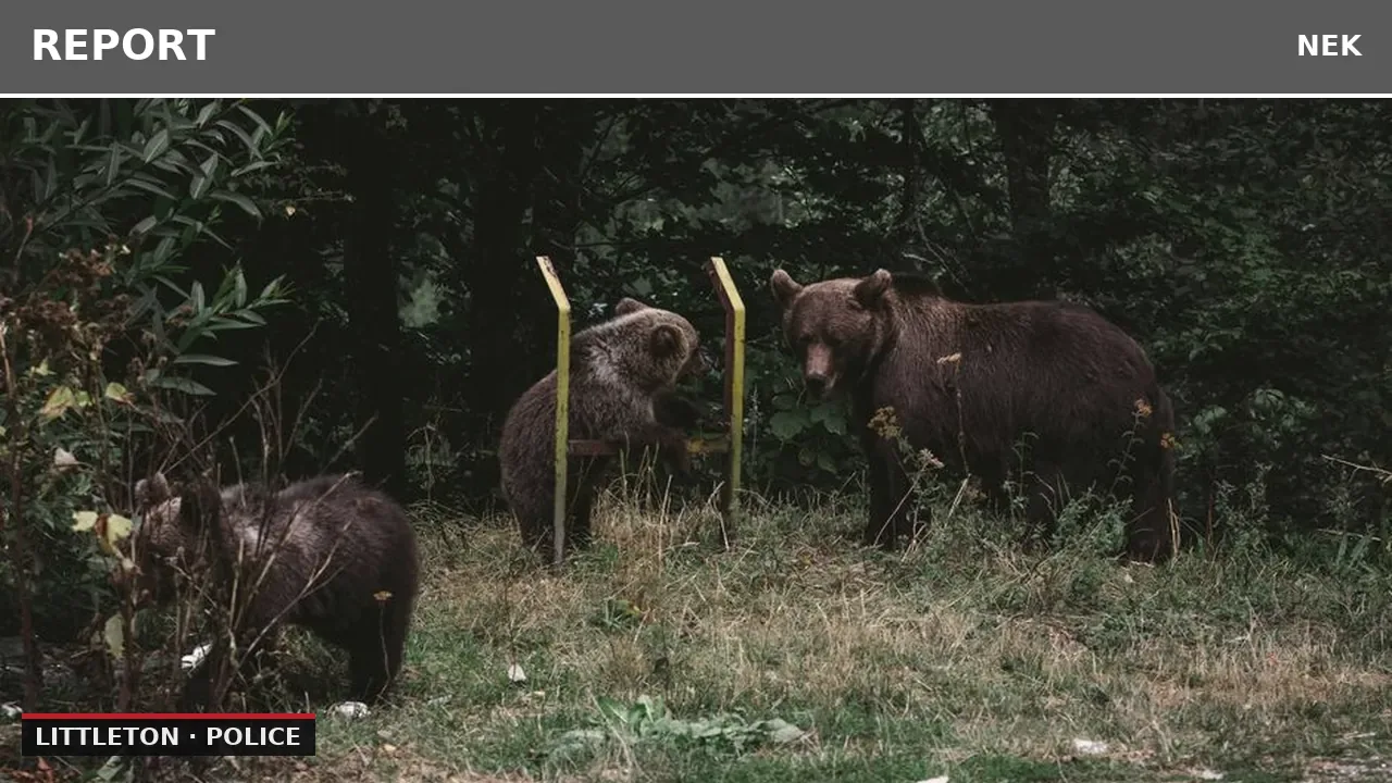 Bear intrusion reported in Littleton area