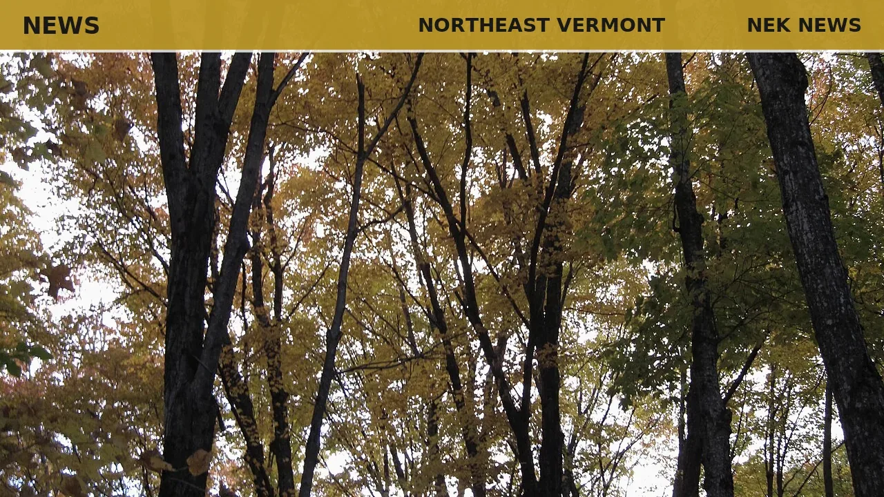 Flash flood warning issued for parts of NEK