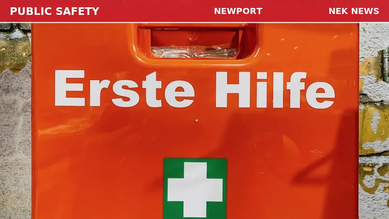 Medical Call for Dizziness on Wichen Drive in Newport