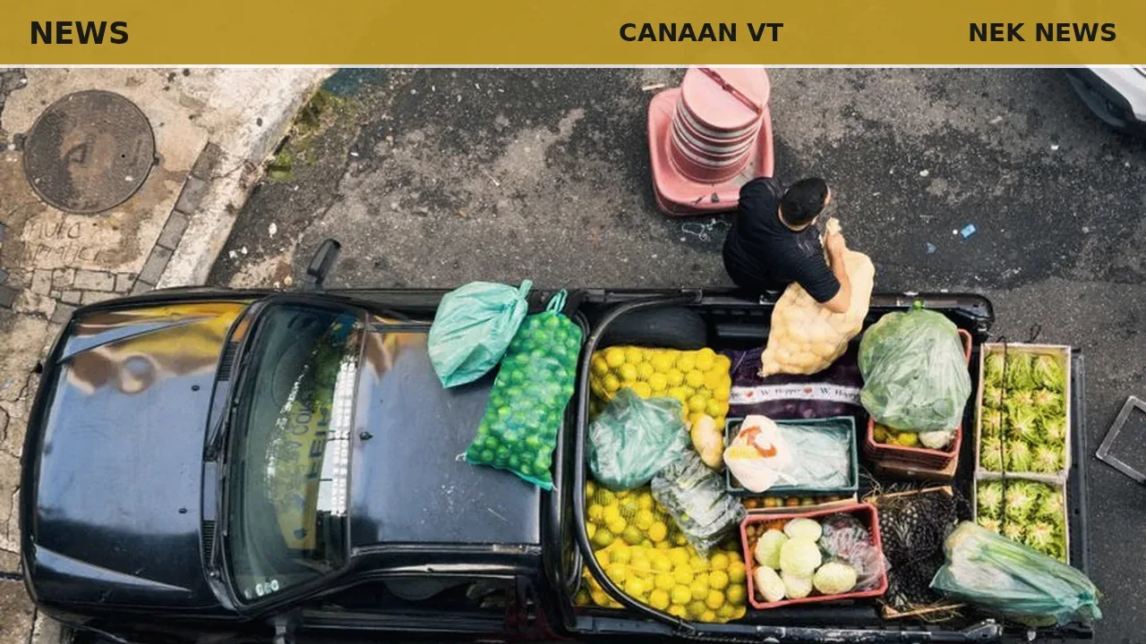 Free local food distribution serves 40 households in Canaan