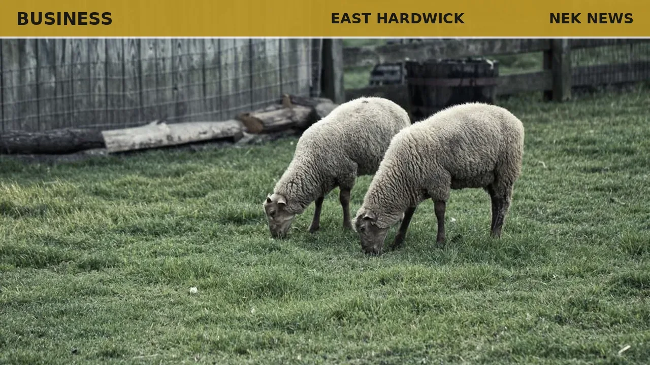 Hops and merino wool find new life on East Hardwick farm