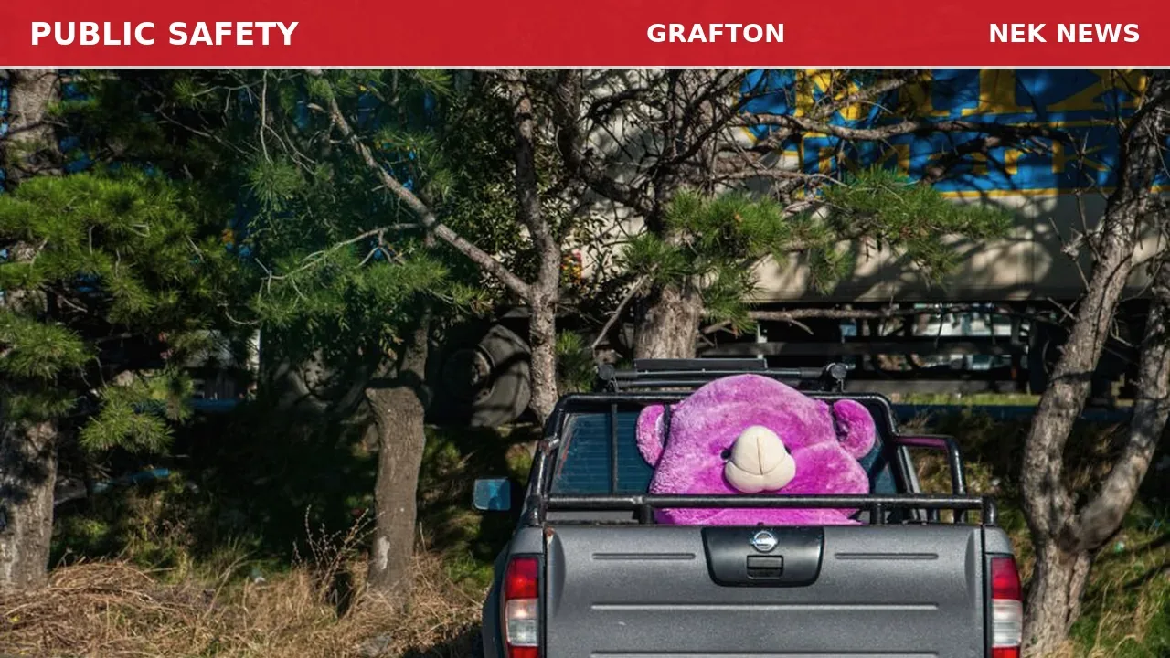 Bear Spotted on Truck in Grafton
