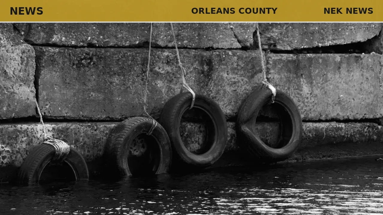 Volunteers clean up Clyde River, collect tires and debris