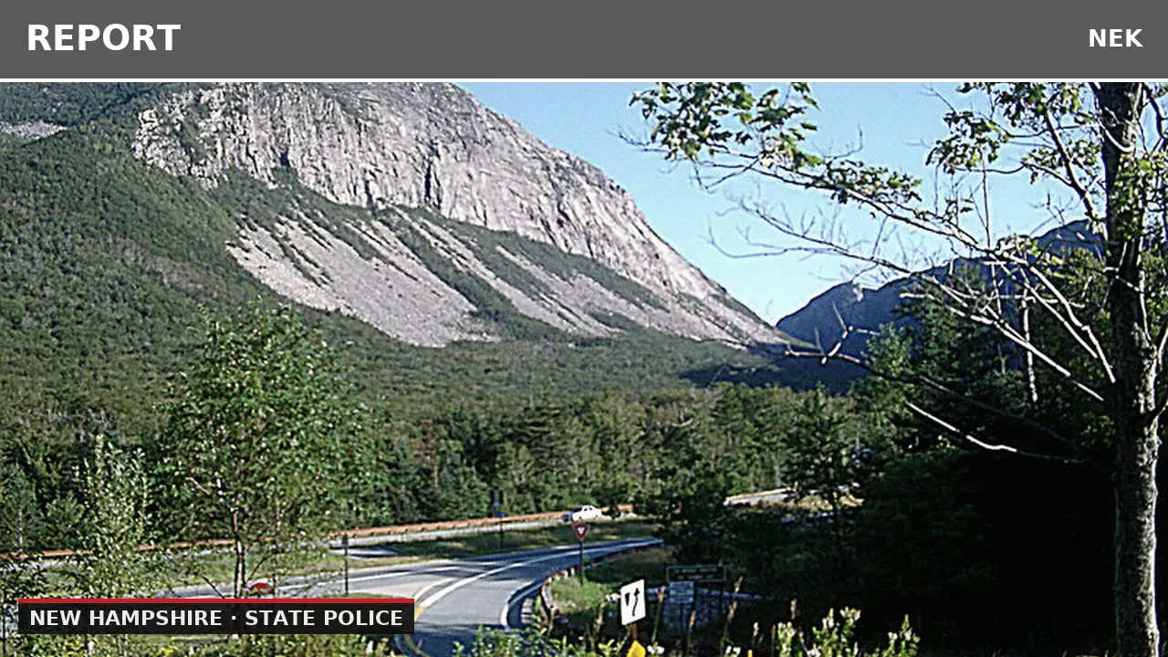 Vehicle Accident Reported at I-93 Mile 117, No Dogs Found