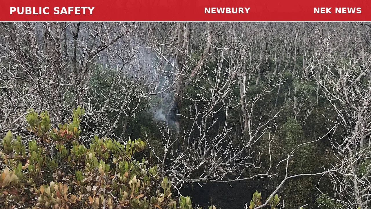 Tree on Wires Sparks Fire on North Road in Newbury