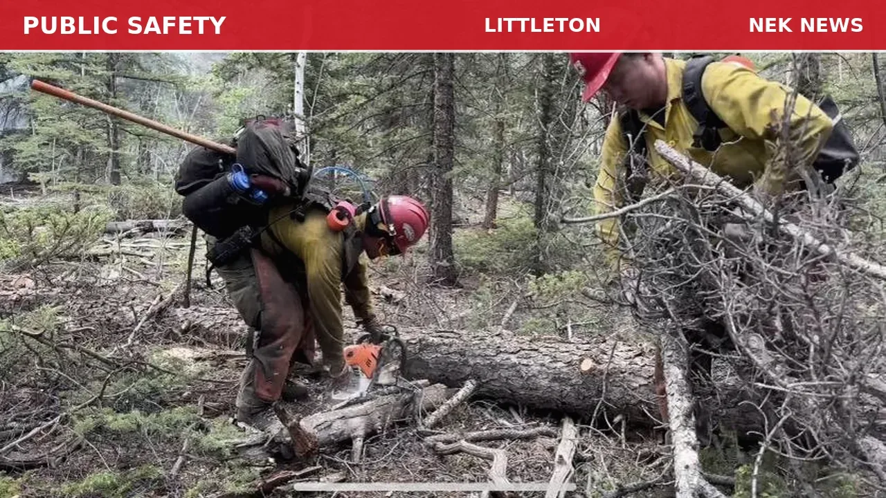 Downed Tree Cleared in Littleton