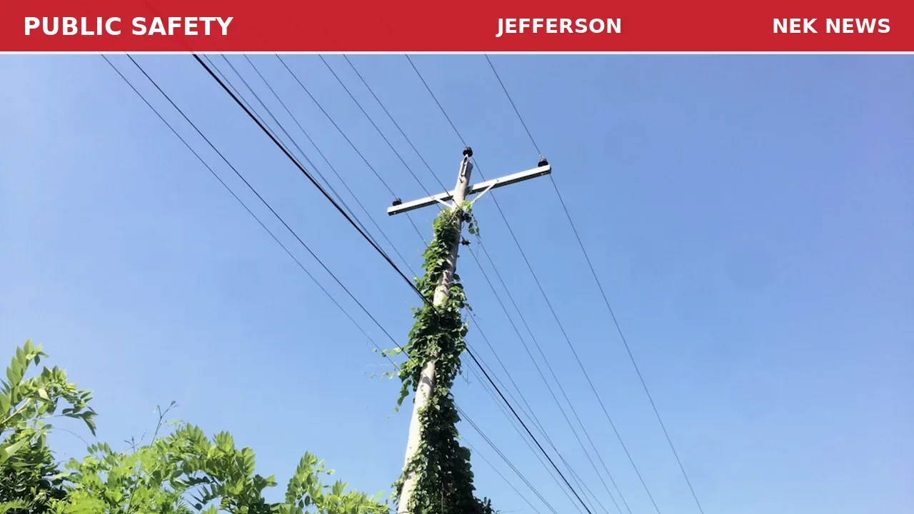 Tree Down on Wires, Smoke Reported in Jefferson