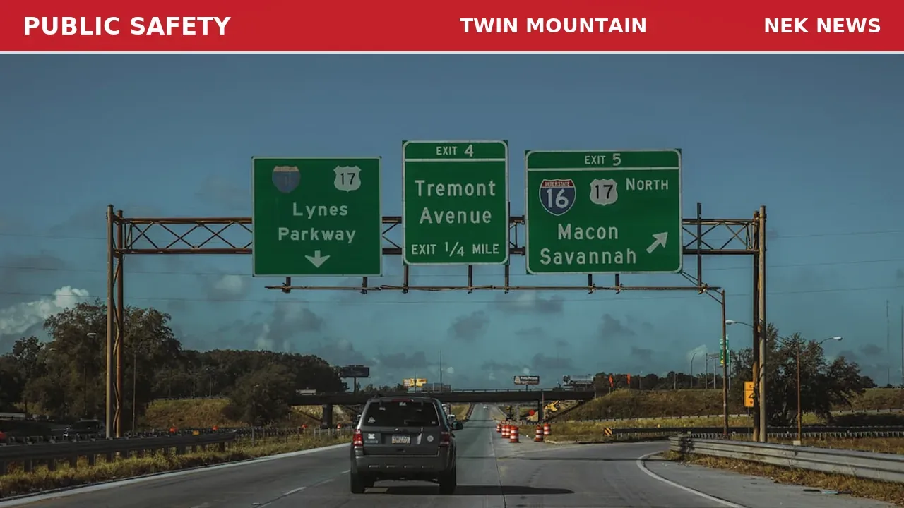 Tree Down on Route 3 North in Twin Mountain