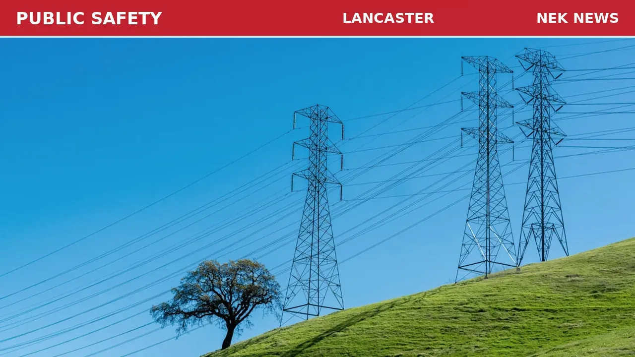 Tree on Power Line Reported on Lark Street in Lancaster