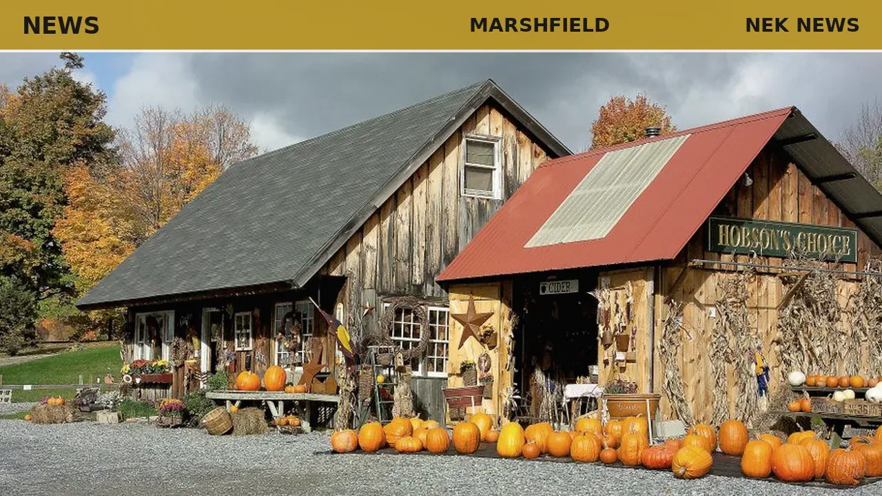Marshfield Farmers Market opens Saturdays at library